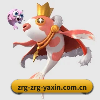 亚新 APP