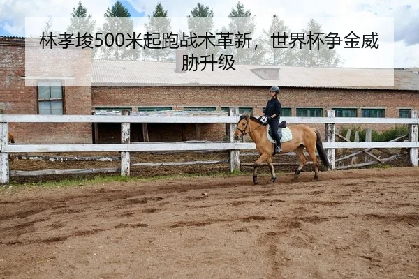 lin-xiao-jun-mi-qi-pao-zhan-shu-ge-xin-shi-jie-bei-zheng-jin-wei-xie-sheng-ji-2-252.jpg